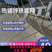 【台灣公司 可打統編】鍍鋅鐵絲網菱形防盜窗網鋼絲網片狗籠網隔離養殖網寵物防護圍欄網