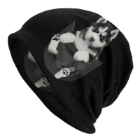 Siberian Husky In A Pocket Beanies Caps Men Women Unisex Trend Winter Warm Knitting Hat Adult Funny Dog Bonnet Hats