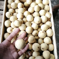 duku palembang duren lay klengkeng fress