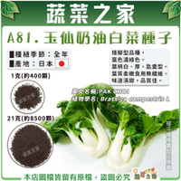 【蔬菜之家】A81.玉仙奶油白菜種子(共兩種包裝可選)