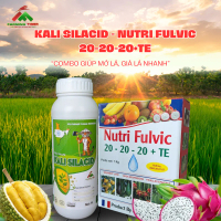 COMBO KALI SILACID + NUTRI FULVIC 20-20-20+TE -  HỖ TRỢ MỞ LÁ, GIÀ LÁ NHANH.