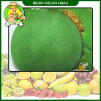 Benih Buah Buahan Semangka Strawberi Melon Labu Benih Bibit Murah Berkualitas Tomat Mini Kuning