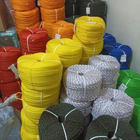 Tali tambang plastik 5 MM ( per roll) hitam