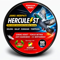 Jamu Giring Keket Jamu Merpati Herculest Giring keras fokus betina