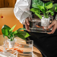 斗魚缸 生態瓶微景觀造景斗魚缸窗臺水養植物創意長條花盆造景桌面花瓶