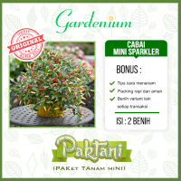 2 Benih Cabai Mini Sparkler Tanaman Cabe Hias Ornamental Paktani