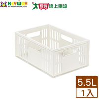 KEYWAY聯府 總理萬用籃 DT21 台灣製 收納 置物 整理【愛買】