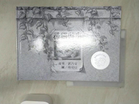 【書寶二手書T1／繪本_R3P】尋貓啟事_郭乃文