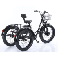 FEIVOS P1 electric trike 3 wheel adult electric bike 48V 750w electric cargo bike fat tire electric tricycle