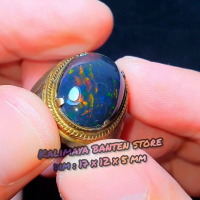 black opal kopi banten size jumbo