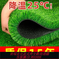 {台灣公司貨 可打統編}仿真草坪地毯陽光房玻璃屋頂隔熱專用人造綠色戶外人工假草皮裝飾