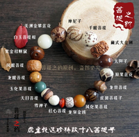 金剛白星月18多寶十八子十八菩提子手串手鏈男女車檔位掛文玩佛珠