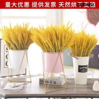 天然麥穗干花稻穗開業大麥小麥黃金金色花束客廳擺件裝飾花籃花瓶