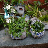 庭院壁掛小花瓶大口徑家居陽臺裝飾青花瓷風花園多肉植物創意盆器