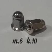 Mur Leher Knalpot Vario Lama 6mm Beat