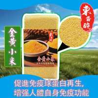 東北金黃小米(1公斤)-1包裝 1kg/包