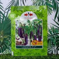 NEW STOCK Package of 1100 Seeds @ Biji LEZATA F1 Eggplant Seeds F1 Hybrid Eggplant Seeds Cap Panah M