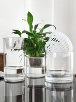 新款/水培植物玻璃瓶子透明直筒圓柱形花瓶簡約綠蘿花盆白掌水養缸容器免運 可開發票-青木鋪子