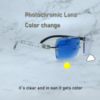 Two Colors Lenses Color Change Photochromic Sunglasses Big Diamond Cut 4 Season Glasses Frame Carter Designer Eyewear 012 Marble