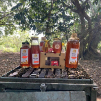 mật ong hoa nhãn tự nhiên chai nhựa 500ml. Mua 3 chai 500ml tặng 200gr nhãn sấy khô nguyên vỏ