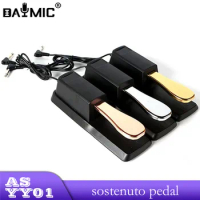 Wholesale Musical Instrument Accessories Keyboard Piano Sustain Pedal For Stage Performance Live Show