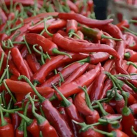 Cabe / Lombok Merah Besar 1 kg