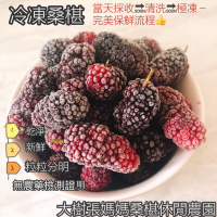 大樹張媽媽桑椹果園-桑椹冷凍果粒(免運宅配)