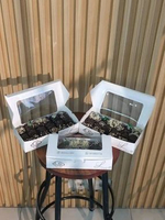 Brownies Panggang Coklat Strawberry Lumer Dessert Box Homemade Premium gif birthday instan samday de