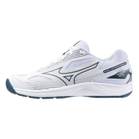 Mizuno Cyclone Speed 4 [V1GA238021] 男女 排球鞋 基本款 運動 訓練 輕量 白藍