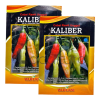 Benih Cabe Cabai Rawit Unggul KALIBER Isi 10 gram Wijitani