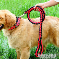 中大型犬狗錬子金毛拉布拉多哈士奇狗狗牽引繩遛狗繩項圈P錬狗繩
