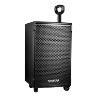 OEM New Convenient Karaoke DJ Speaker Portable Bluetooth Speaker Wireless Professional Speaker Alexa