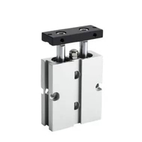 Cylinder pneumatic TN16 Twin Rod Pneumatik Angin Air Silinder Double Stroke TN 16 - TN 16x10 TN 16x1