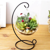 Hanging Glass Terrarium Clear Glass Vase with Metal Display Stand Aquarium For Succulent Micro Landscape Hydroponic Home Decor