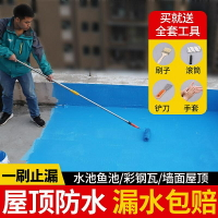 特價水池防水涂料魚池泳池補漏專用膠飲用池防水漆防漏材料藍色環保型