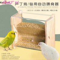 餵食器蘆丁雞喂食器自動食槽鸚鵡鳥用玄鳳專用下料食盒食盆飼料飼養用品