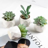 [RISSA] Mini Kaktus Palsu Pot Cactus Kecil Tanaman Palsu Dekorasi Tanaman Bunga Sintetis Prop Foto L