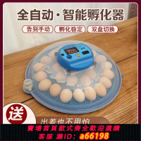 【台灣公司 可開發票】小飛碟孵化器小型家用盧丁雞孵化器雞鴨鵝家用孵化機迷你孵化箱