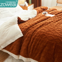 冬季加厚保暖毛毯子珊瑚絨被子法蘭絨毯單人雙層牛奶絨床上用蓋毯