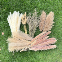 100Pcs Pampas Grass Boho Home Decor 17 inch Natural Dried Flowers-Pampas Grass Contains Bunny Tails