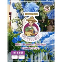 Bibit Premium Bunga Mawar Rambat Biru Muda|Benih Mawar Rambat Biru Muda