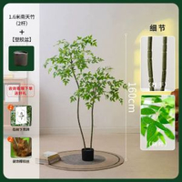 模擬植物南天竹落地盆栽仿生綠植室內客廳裝飾花擺件大型盆景假樹