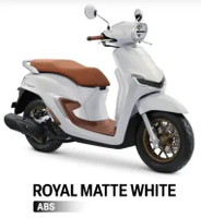Honda Stylo ABS Green