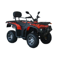 off Road Dirt Mountain Petrol Atvs Iron Wheel 4 Stroke Chain Drive 125/150/200/250 CC ATV Farm ATV Quad bike
