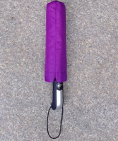 《省您錢購物網》全新~全自動開收十骨自動雨傘~傘面105公分