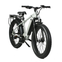 2023 ebike new bafang mid drive Electric Mountain Bike 26inch fat tire electric cheap 48v e- battery e motorcycle
