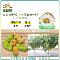【綠藝家】大包裝G95-1檸檬辣椒種子0.7克(約180顆)