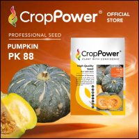 COD HOT ITEM (20 GRAM) Biji Benih Labu Gold Hill  PK88 CROP POWER F1 Hybrid Pumpkin seeds   PK 88