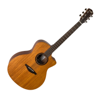 【Veelah】V1-M 桃花心木面單系列 41吋 木吉他(原廠公司貨 商品皆有保固一年)