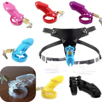 Male Chastity Cage CB6000S CB6000 Plastic Cock Cages with 5 Base Rings Wearable Pants Chastity Belts Sex Toys for Men G7-3-10
